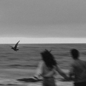 亚洲毛片无码专区
