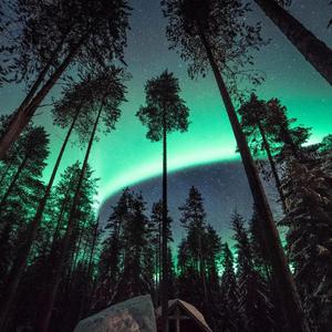 亚洲毛片无码专区
