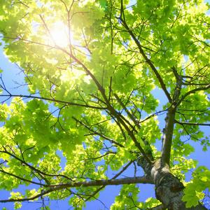 亚洲毛片无码专区
