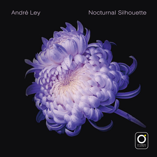 亚洲毛片无码专区
